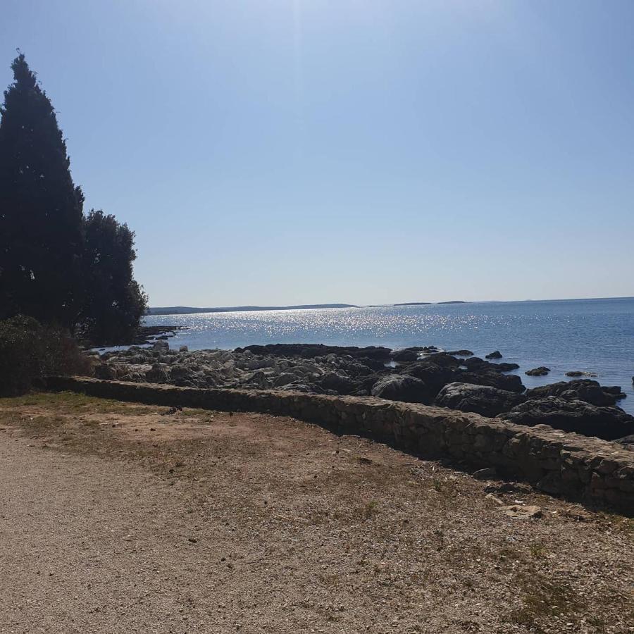 Apartment Ivo Croatia
